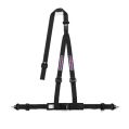 Sparco Harness R16 Martini Racing Black ECE Approved-1