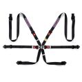 Sparco Martini Racing Harness Black FIA Approved 8853-2016-1
