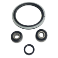 Steering Knuckle Bearings and Seals Set IOD Performance for Nissan Patrol Y61 (one side)-1