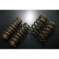 Tein High Tech Springs for Lexus IS250 / IS350 / IS200T-1